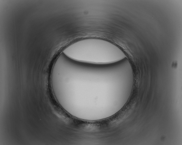 X0000102470303200808081015