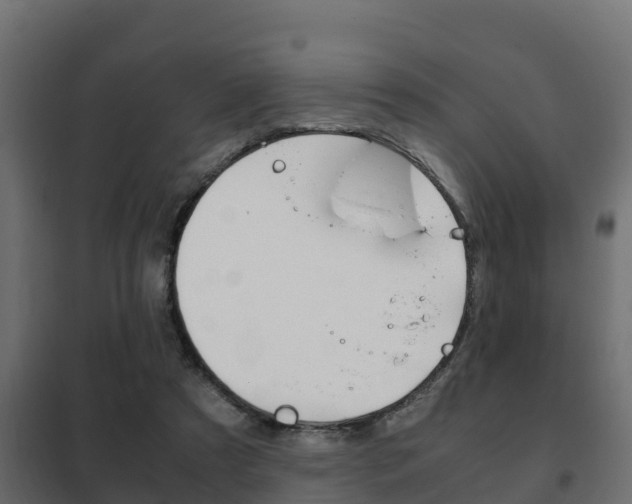 X0000102470305200808081015