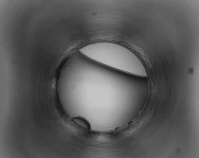 X0000102470308200808081015