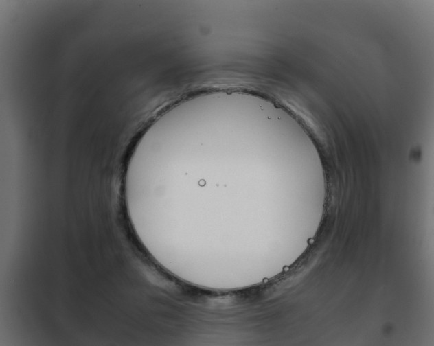 X0000102470309200808081015