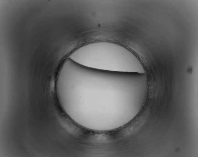 X0000102470310200808081015