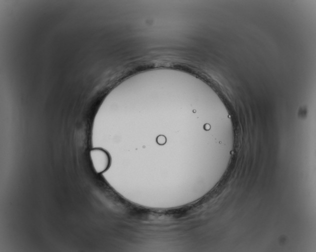 X0000102470311200808081015