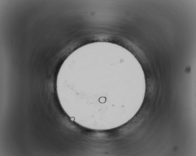 X0000102470313200808081015