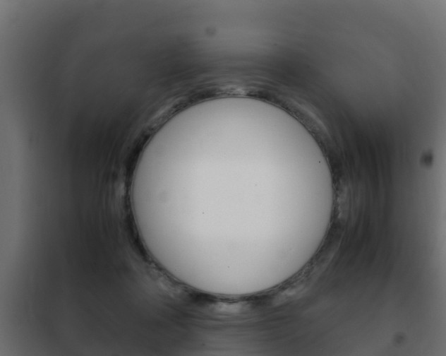 X0000102470314200808081015