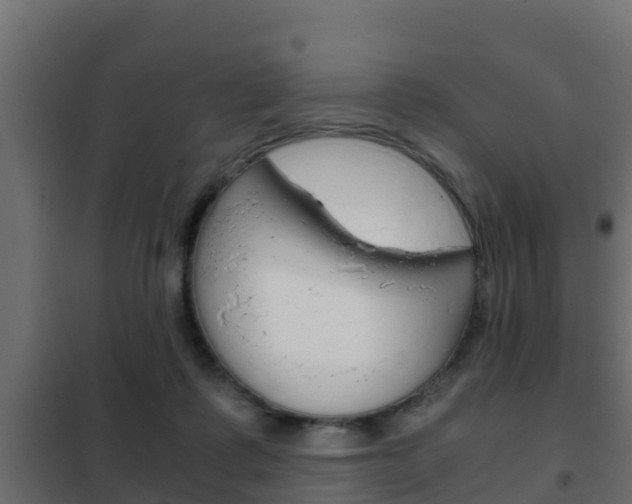 X0000102470315200808081015
