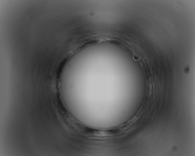 X0000102470316200808081015