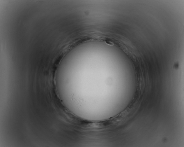 X0000102470320200808081015