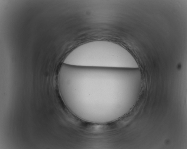X0000102470323200808081015