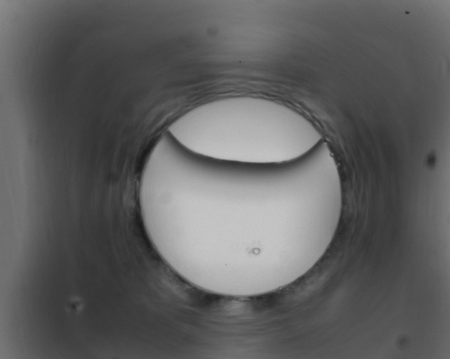 X0000102470325200808081015