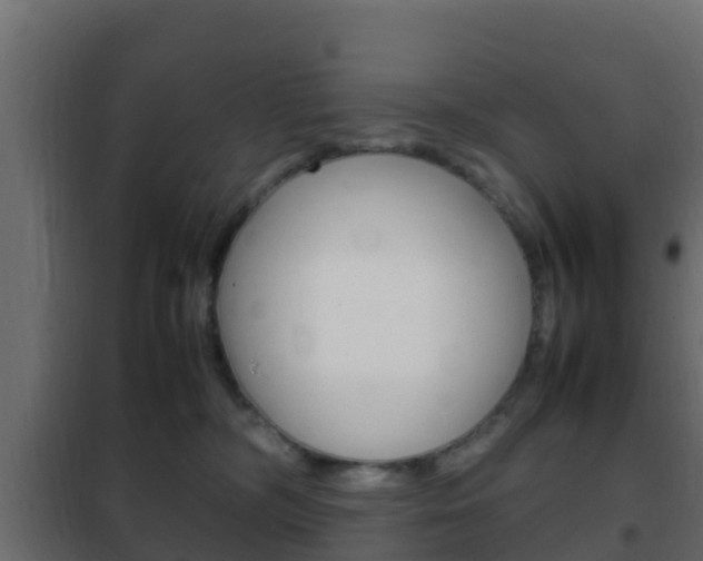X0000102470326200808081015