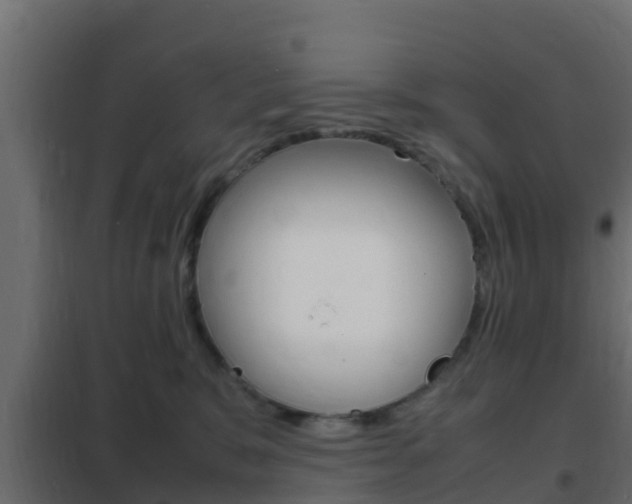 X0000102470327200808081015