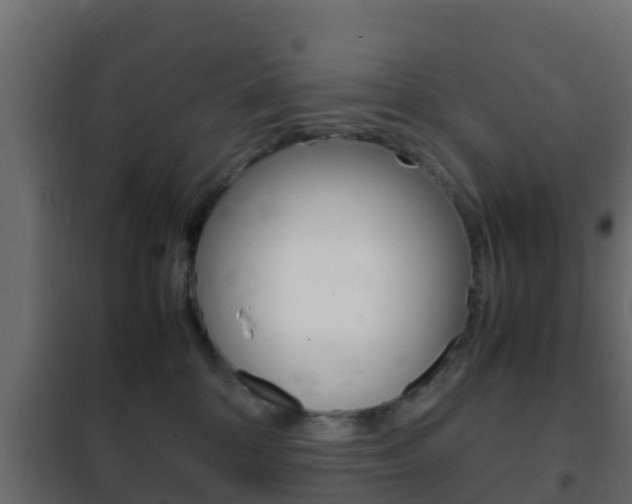 X0000102470328200808081015