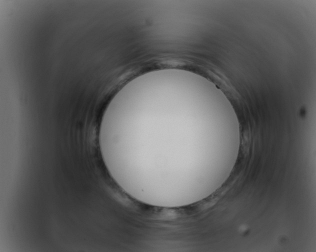 X0000102470330200808081015