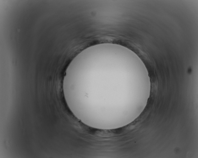 X0000102470331200808081015