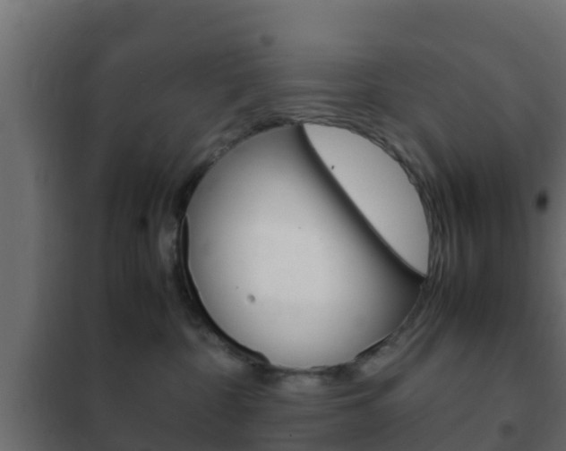 X0000102470332200808081015