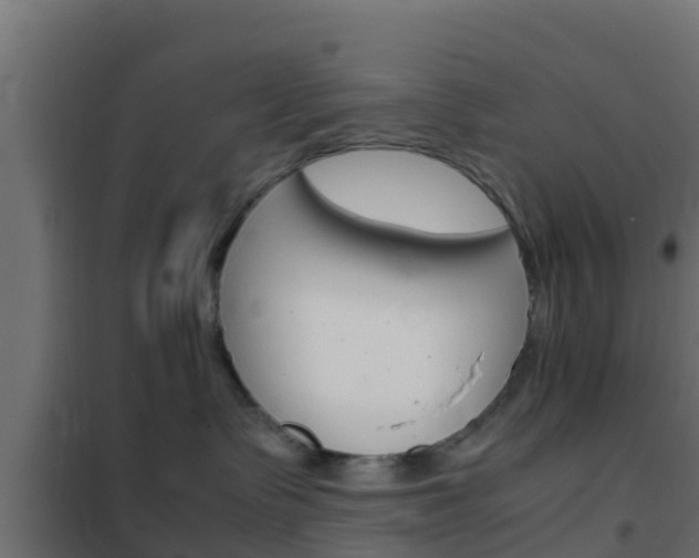 X0000102470335200808081015