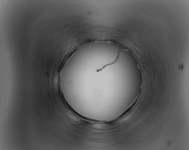 X0000102470336200808081015