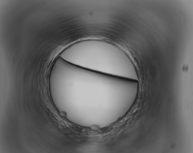 X0000102470337200808081014