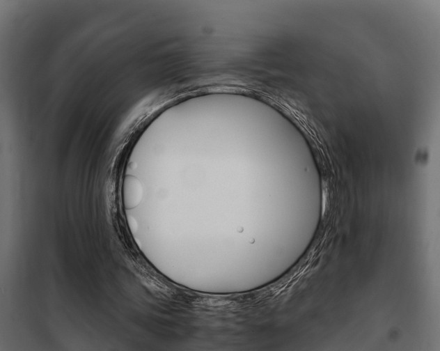 X0000102470339200808081014
