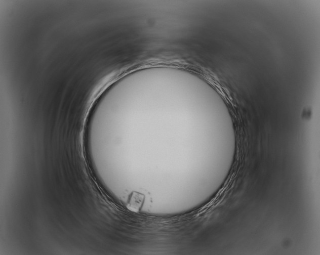 X0000102470340200808081014