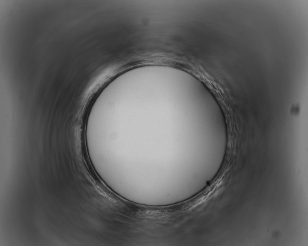 X0000102470341200808081014