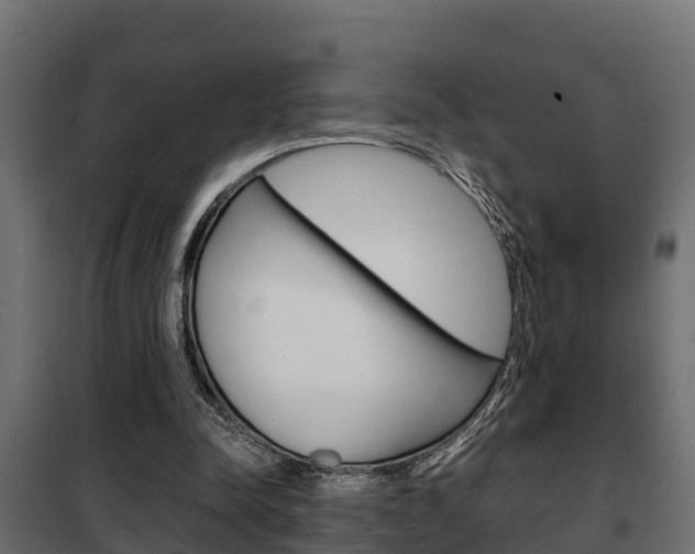 X0000102470342200808081014
