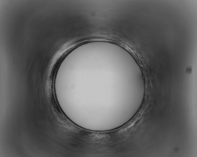 X0000102470343200808081014