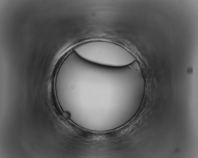 X0000102470344200808081014