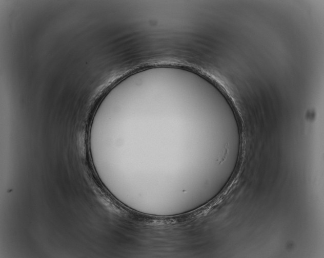 X0000102470345200808081014