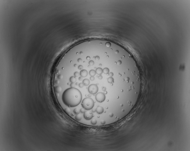X0000102470346200808081014