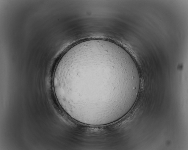 X0000102470347200808081014