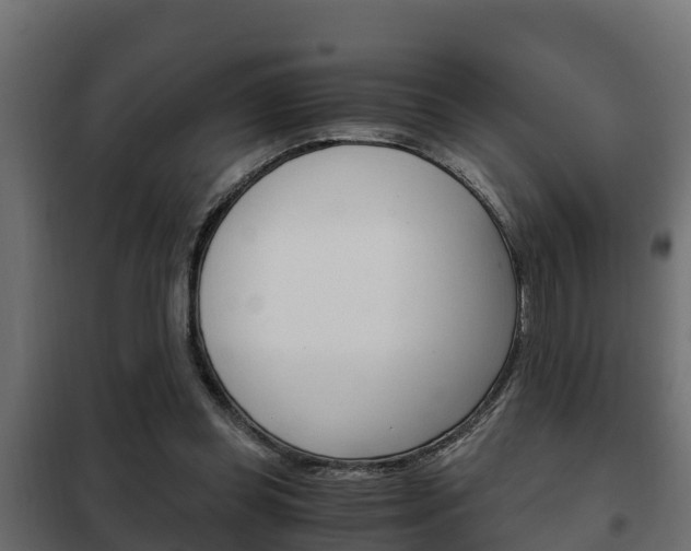 X0000102470349200808081014