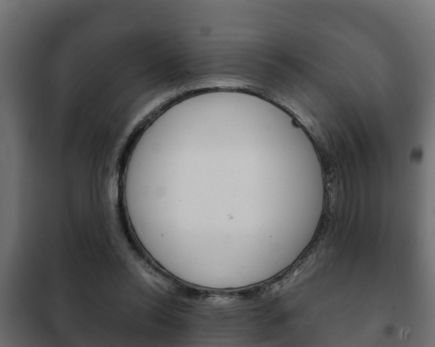 X0000102470350200808081014