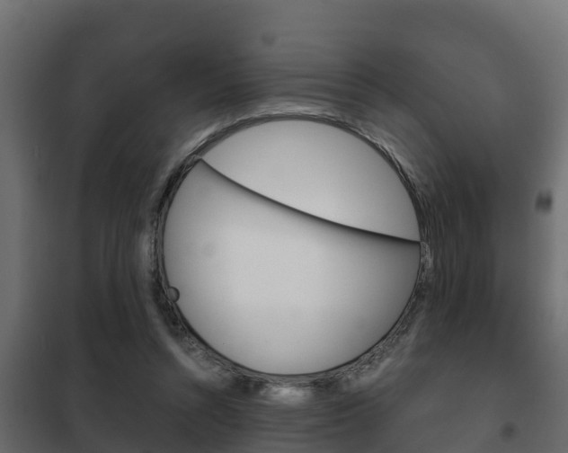 X0000102470352200808081014