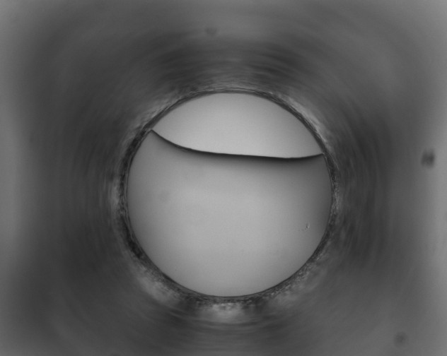 X0000102470353200808081014