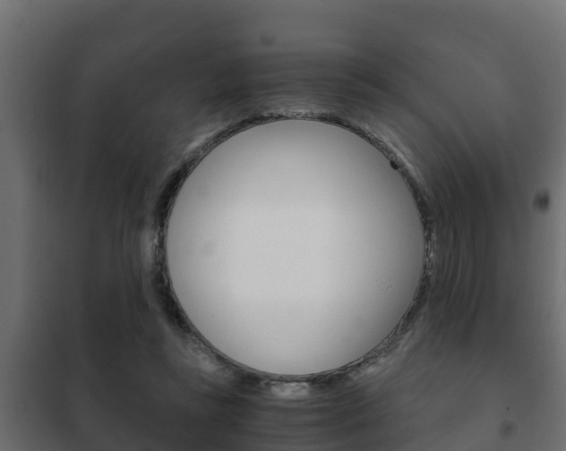 X0000102470355200808081014