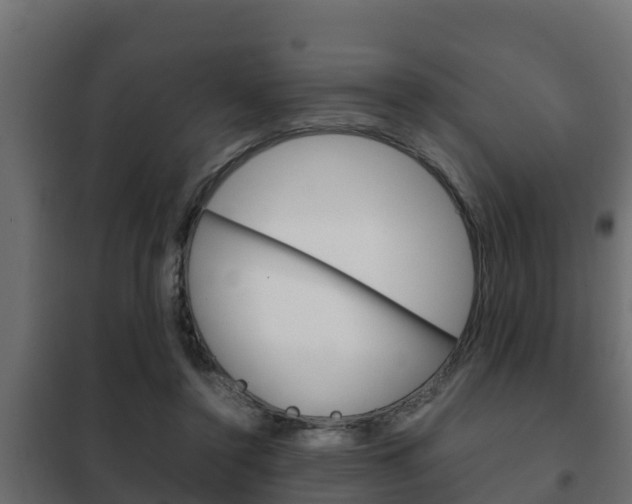 X0000102470356200808081014