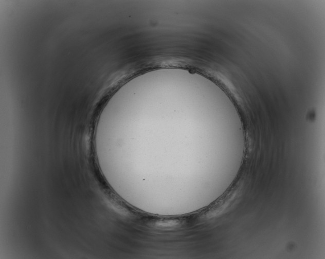 X0000102470357200808081014