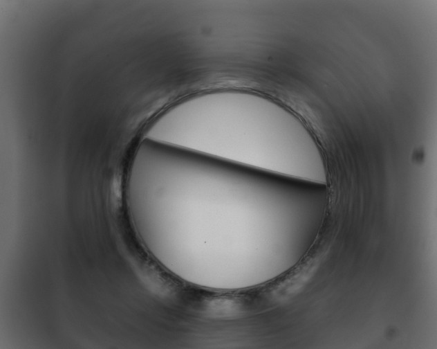 X0000102470358200808081014