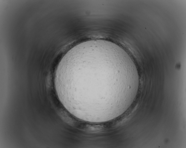 X0000102470359200808081014