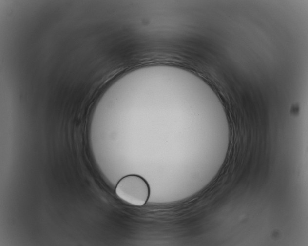 X0000102470360200808081014