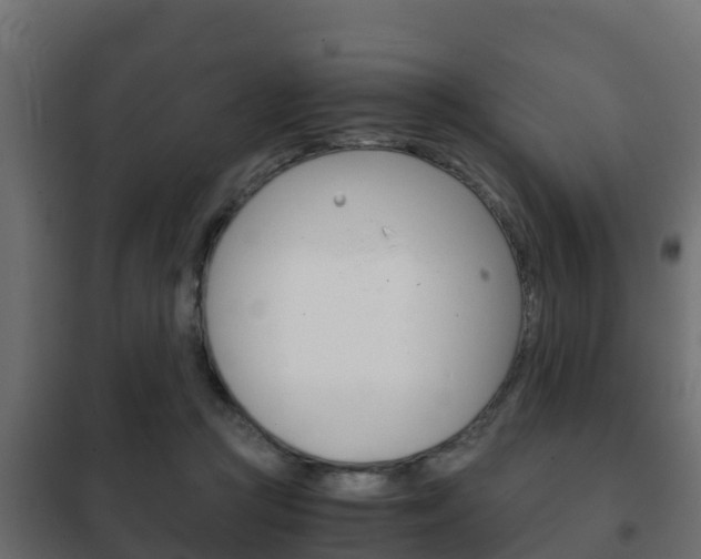 X0000102470361200808081015