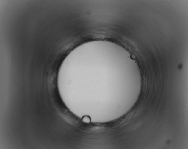 X0000102470364200808081015