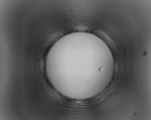 X0000102470365200808081015