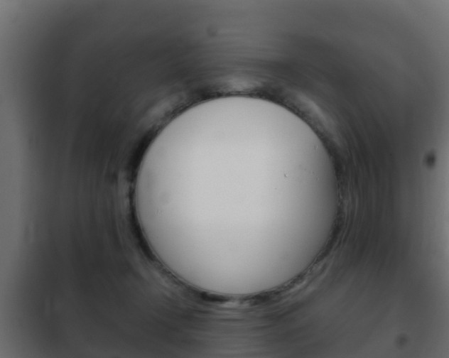 X0000102470366200808081015