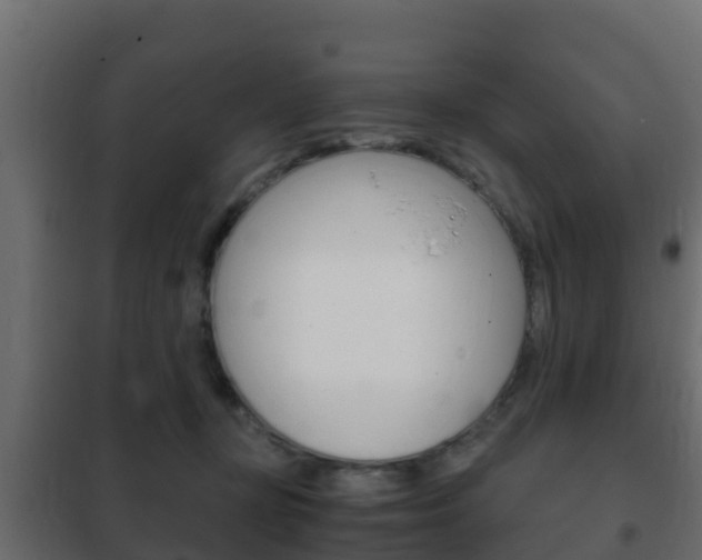 X0000102470367200808081015