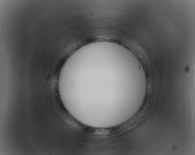 X0000102470369200808081015