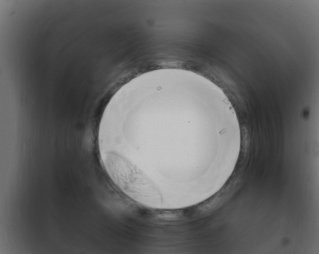 X0000102470370200808081015