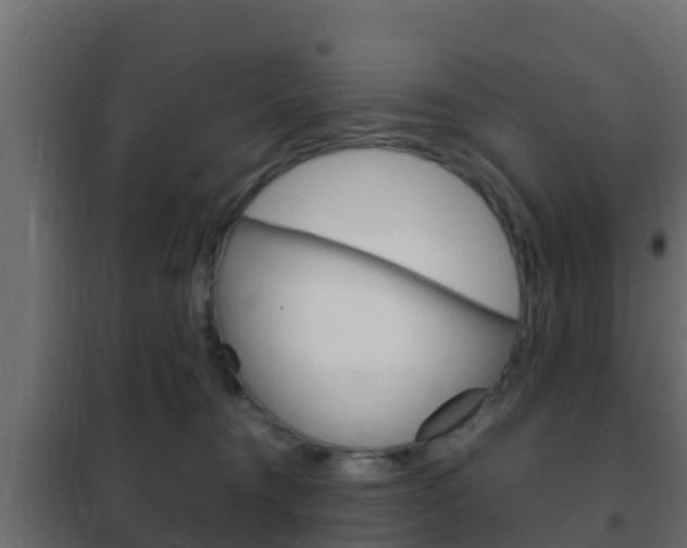 X0000102470372200808081015