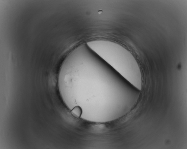 X0000102470374200808081015